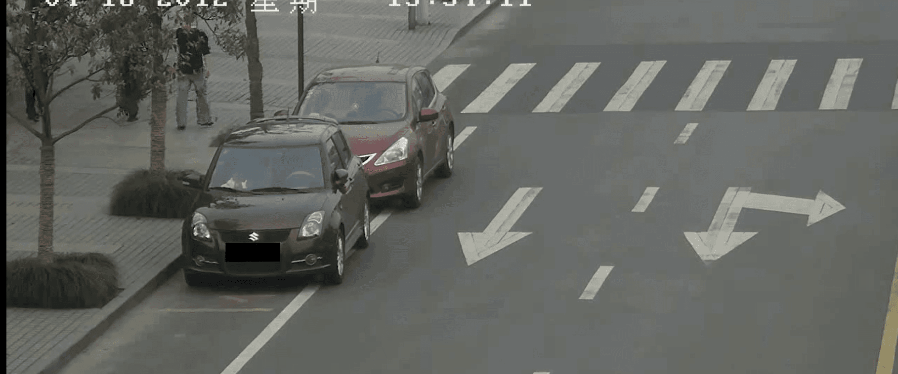 license-plate-video-anonymizer — software project interface preview